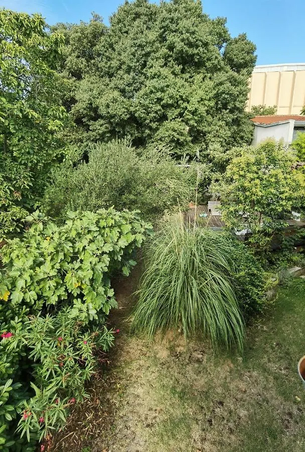 פולה Pine And Lime Apartments