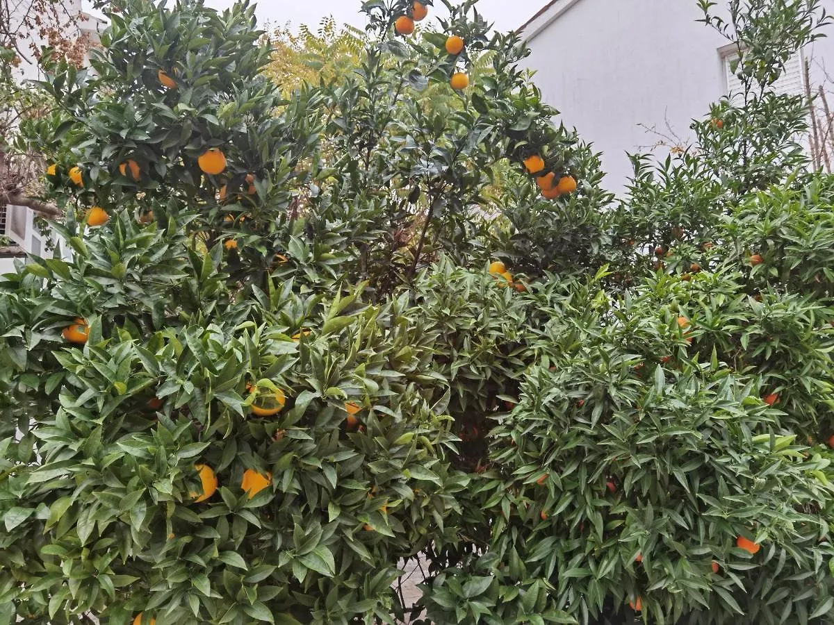 פולה Pine And Lime Apartments 0*,
