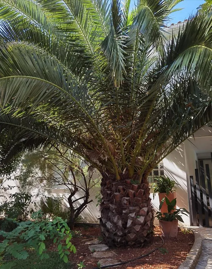 פולה Pine And Lime Apartments