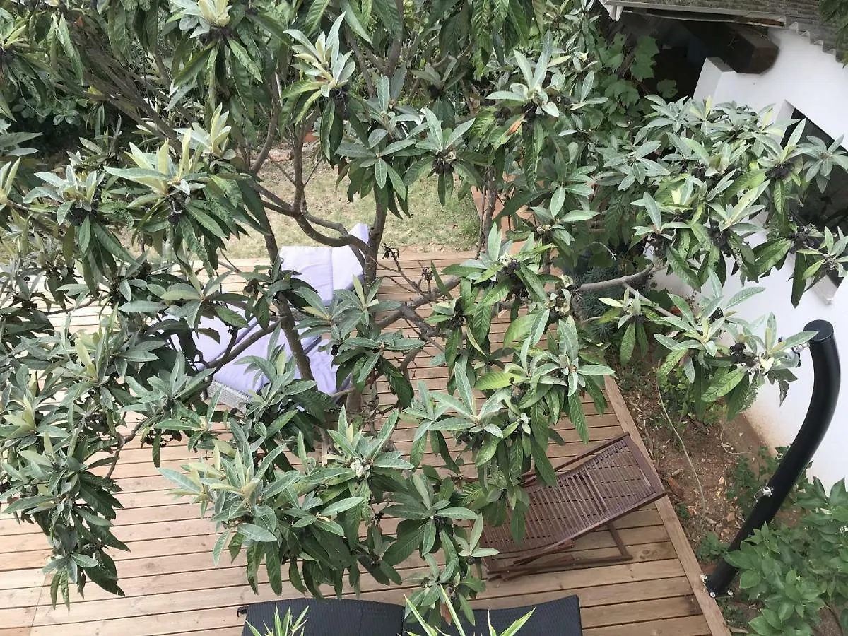 פולה Pine And Lime Apartments קרואטיה