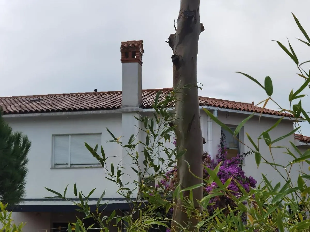 Pine And Lime Apartments Pula